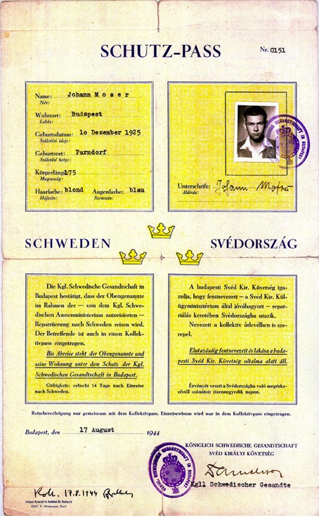 Schutz-pass